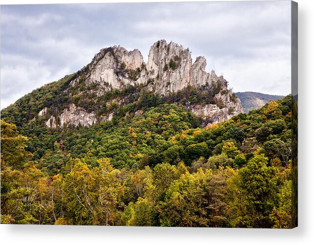 Seneca Rocks Acrylic Print featuring the photograph Fall on Seneca Rocks West Virginia by Dan Carmichael