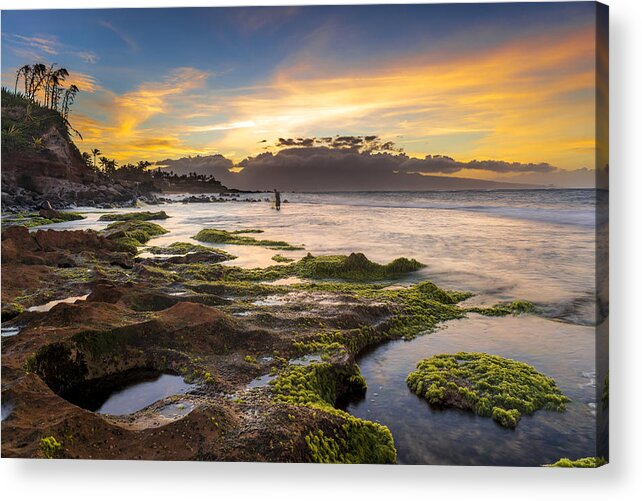 Hawaii Acrylic Print featuring the photograph Fishing in Hawaii by Francesco Emanuele Carucci