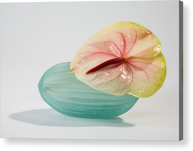 Flowers Acrylic Print featuring the photograph Flowers in Vases by Matthew Pace