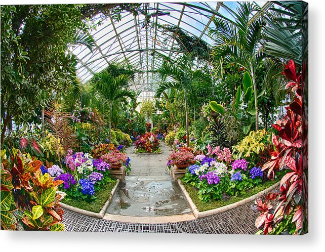 Greenhouse Acrylic Print featuring the photograph Greenhouse Garden by Roni Chastain