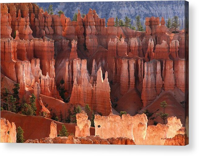 bryce Canyon Acrylic Print featuring the photograph Hoodoo Sunrise Bryce Canyon by Winston Rockwell