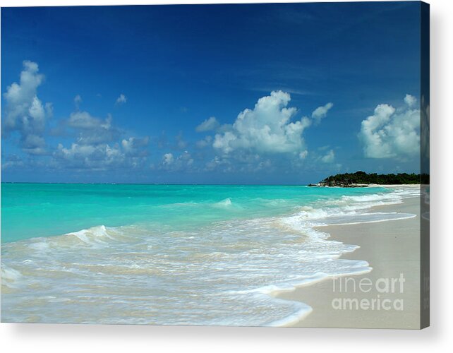 Zen Images Acrylic Print featuring the photograph Iguana Island Caribbean by Robyn Saunders