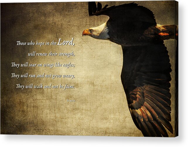 Isaiah 40:31 Acrylic Print featuring the photograph Isaiah 40 31 by Eleanor Abramson