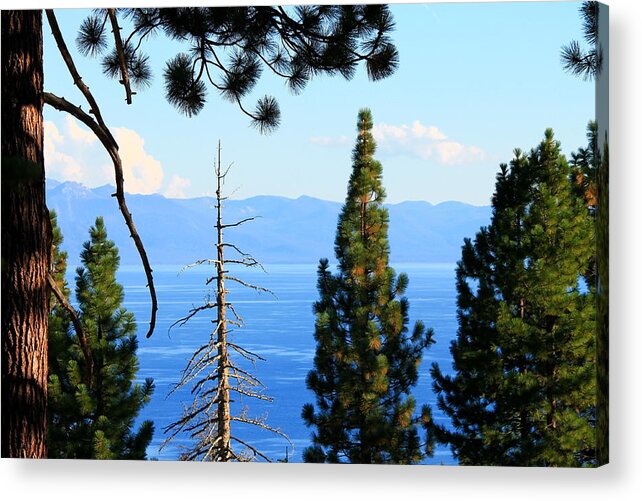 Lake Acrylic Print featuring the photograph Lake Tahoe Tranquil by Saya Studios