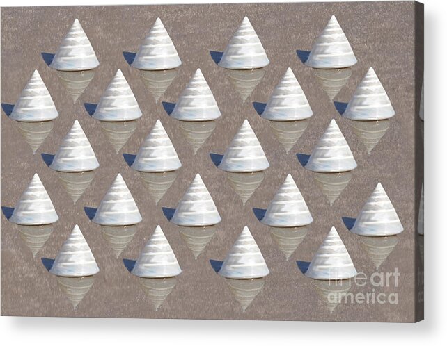 Seashells Acrylic Print featuring the photograph Pearlized Tectus Fenestratus by Josephine Cohn