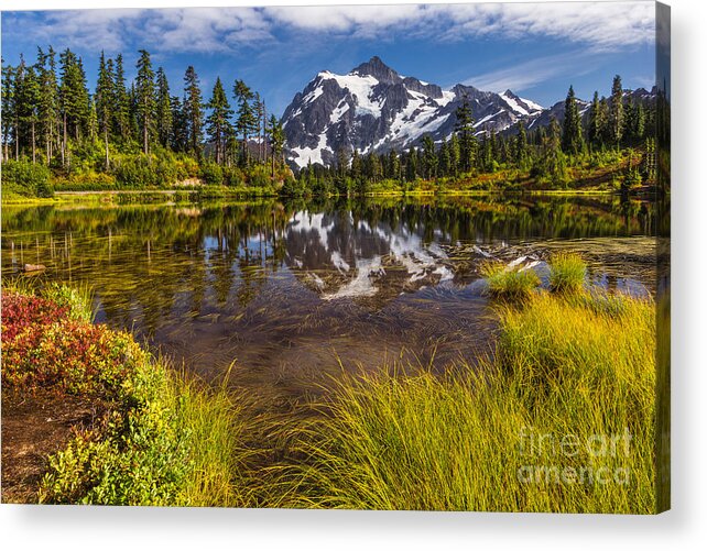 Picture Lake Acrylic Print featuring the photograph Picture Perfect Day by Gene Garnace