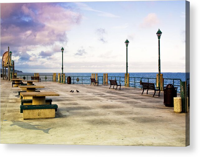 Redondo Beach Acrylic Print featuring the photograph Pigeon Meeting at Redondo Pier by Joseph Hollingsworth