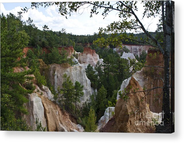 Adventure Acrylic Print featuring the photograph Providence Canyon by Debra Johnson