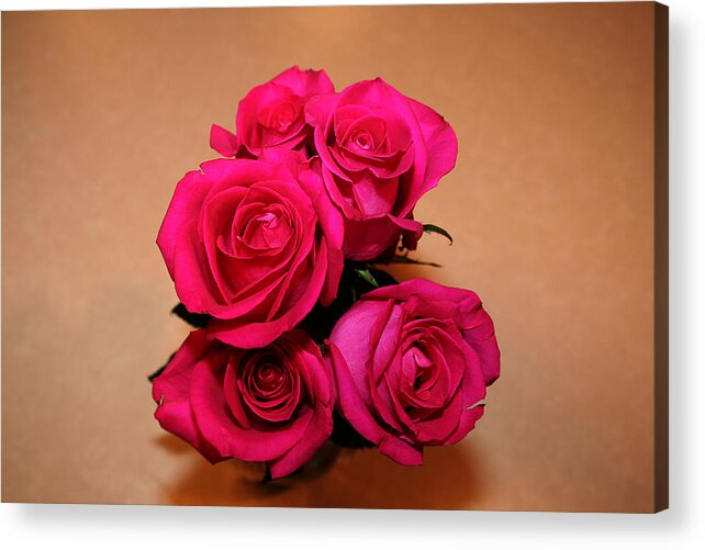 Roses Acrylic Print featuring the photograph Roses by Richard Krebs