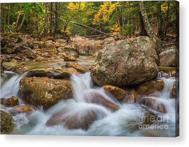 America Acrylic Print featuring the photograph Sabbaday Brook in Autumn by Susan Cole Kelly