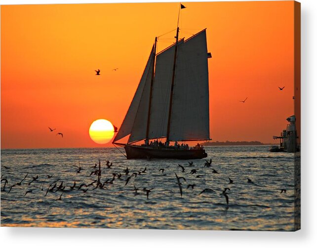 Sail Boat Acrylic Print featuring the photograph Sail into the Sunset by Jo Sheehan