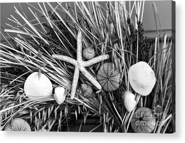 Seashell Wreath Acrylic Print featuring the photograph Seashell Wreath mono by John Rizzuto
