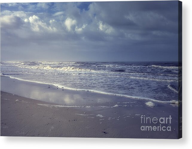 Beach Acrylic Print featuring the photograph St. Joseph Peninsula 5 by Tim Wemple