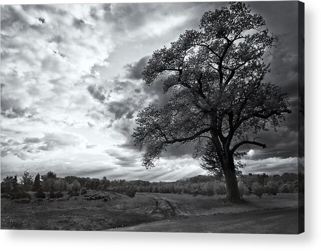 Bucks County Acrylic Print featuring the photograph Storm at Sunset by David Oakill