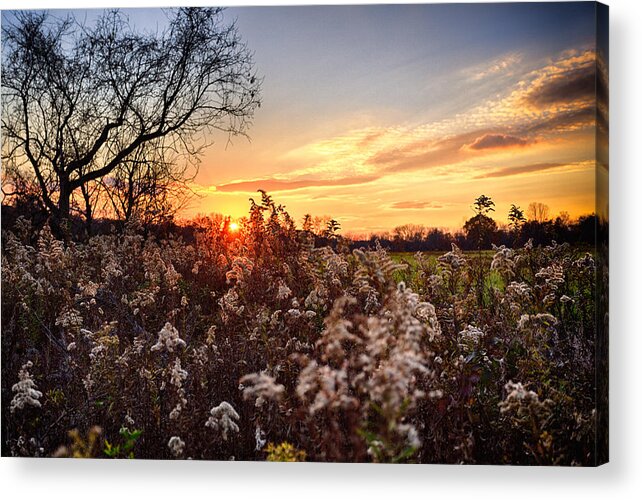 Bucks County Acrylic Print featuring the photograph Tyler Field at Sunset by David Oakill