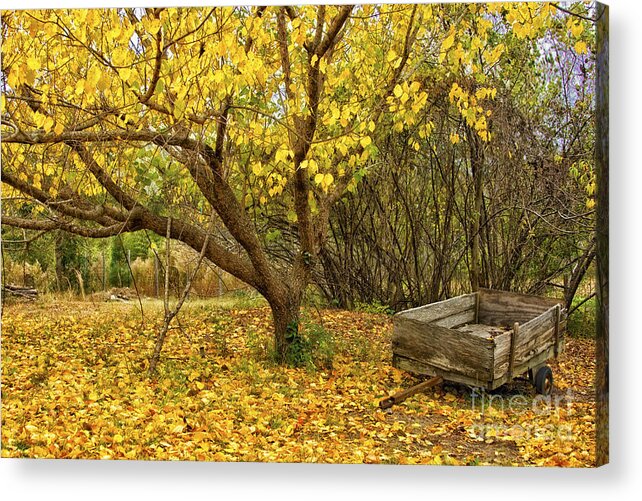 Autumn Acrylic Print featuring the photograph Yellow Autumn Leaves And Wooden Wagon by Jo Ann Tomaselli