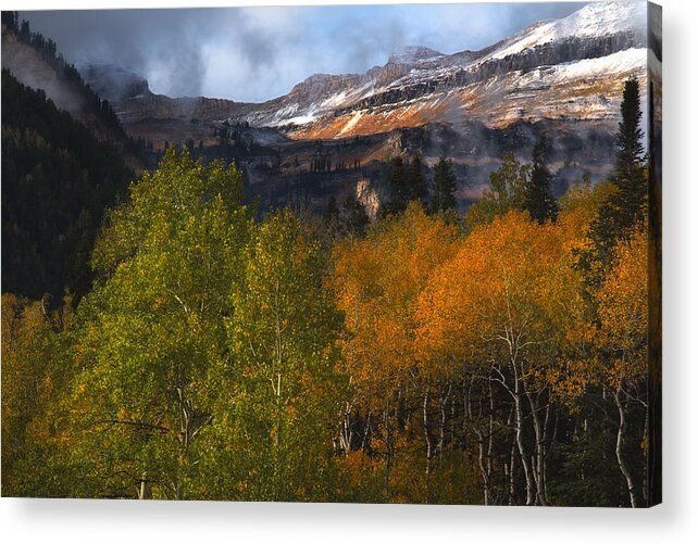 Mount Timpanogos Acrylic Print featuring the photograph Autumn Colors in the Wasatch Mountains by Douglas Pulsipher