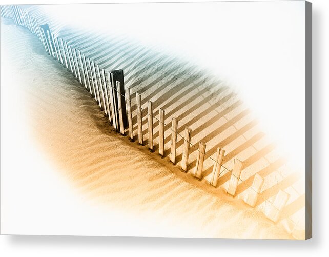 North Carolina Acrylic Print featuring the photograph Dune Fence by Dan Carmichael