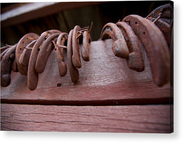 Horseshoes Acrylic Print featuring the photograph Lucky Day by Ed Boudreau