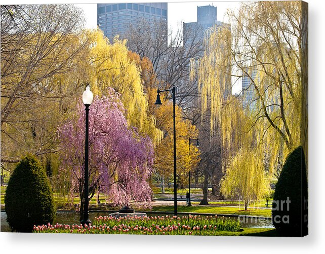 America Acrylic Print featuring the photograph Public Garden Spring by Susan Cole Kelly