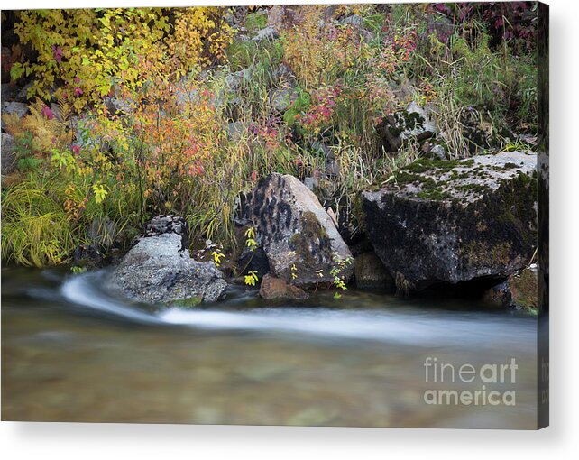 Coeur D'alene National Forest Acrylic Print featuring the photograph Autumn Flow #1 by Idaho Scenic Images Linda Lantzy