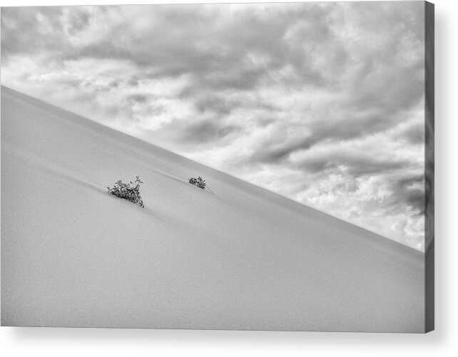 Gobi Acrylic Print featuring the photograph Sand and Clouds #1 by Hitendra SINKAR
