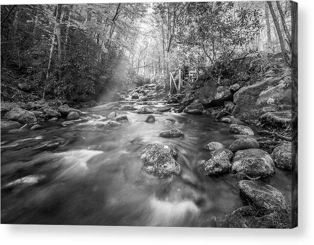 Tremont Acrylic Print featuring the photograph Stream in the Smokies #1 by Jon Glaser