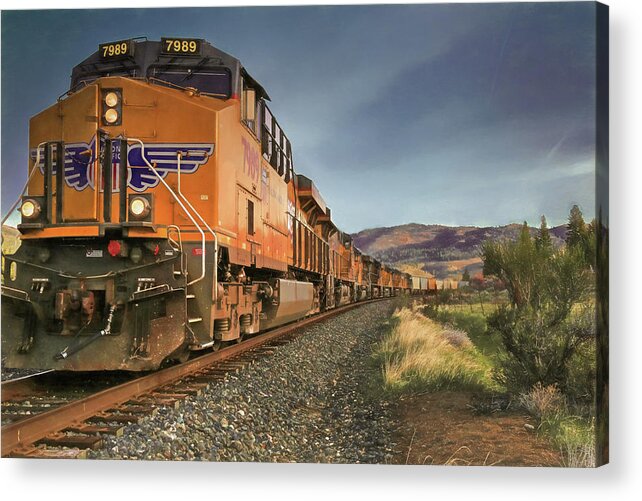 Union Pacific Acrylic Print featuring the photograph 7989 - Nine Engines Westbound by Donna Kennedy