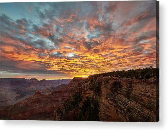 Decor Acrylic Print featuring the photograph A New Day in the Canyon by Jon Glaser