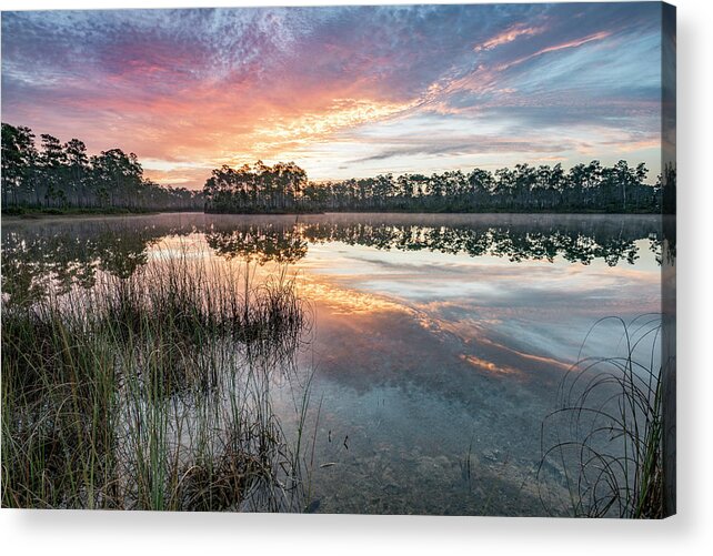 Everglades Acrylic Print featuring the photograph A Rainbow of Colors by Jon Glaser