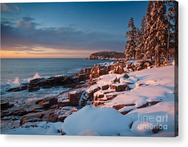 Acadia National Park Acrylic Print featuring the photograph Acadian Winter by Susan Cole Kelly