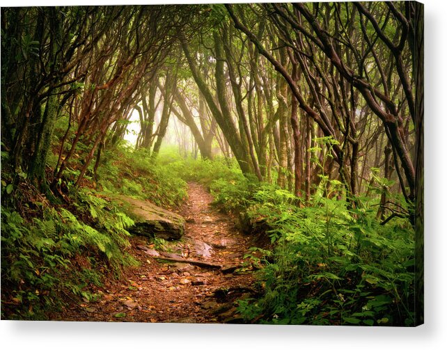 Hiking Acrylic Print featuring the photograph Appalachian Hiking Trail - Blue Ridge Mountains Forest Fog Nature Landscape by Dave Allen