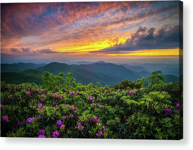 Spring Acrylic Print featuring the photograph Blue Ridge Parkway NC Blooming Sunset by Robert Stephens