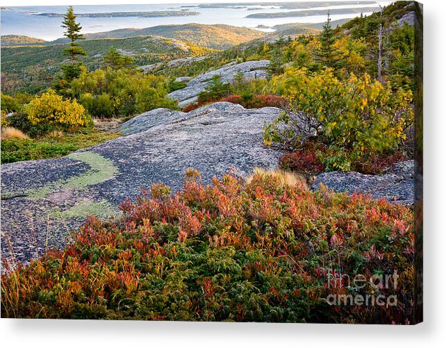 Acadia National Park Acrylic Print featuring the photograph Cadillac Rock Garden by Susan Cole Kelly