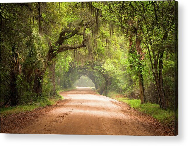 Dirt Road Acrylic Print featuring the photograph Charleston SC Edisto Island Dirt Road - The Deep South by Dave Allen