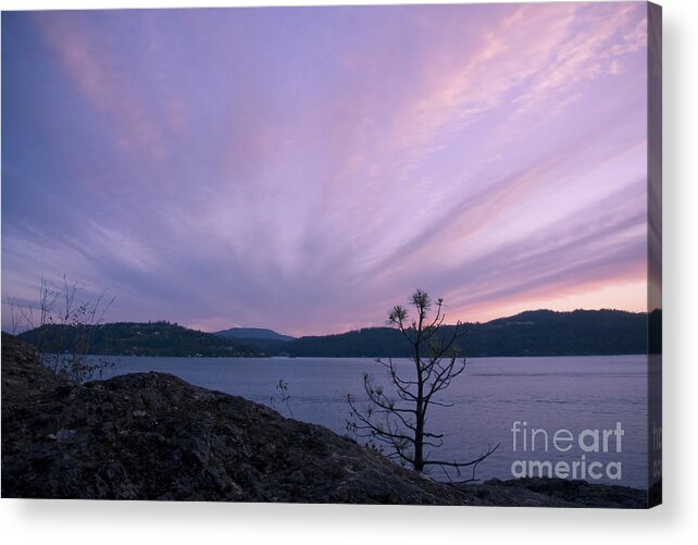 Purple Acrylic Print featuring the photograph Cirrus Fan by Idaho Scenic Images Linda Lantzy