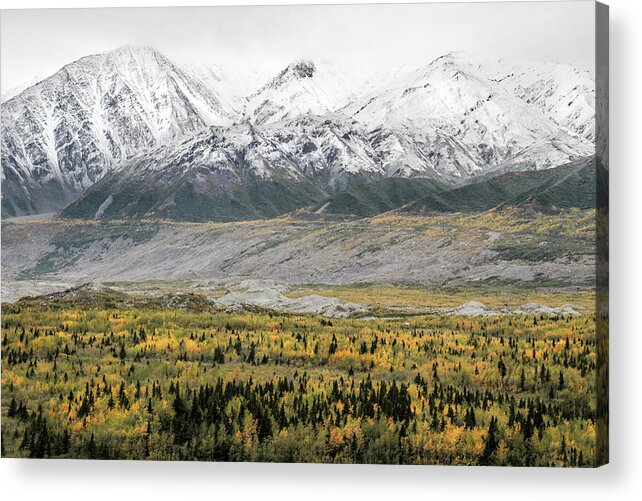 Alaska Acrylic Print featuring the photograph Fall in Wrangell - St. Elias by Marla Craven