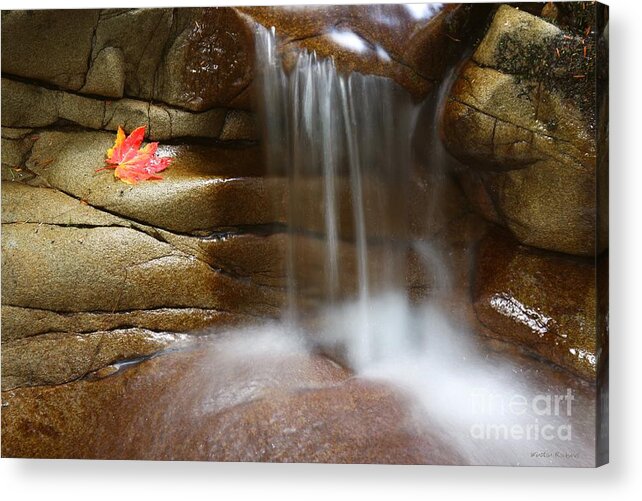 Stream Acrylic Print featuring the photograph Falling Water by Winston Rockwell
