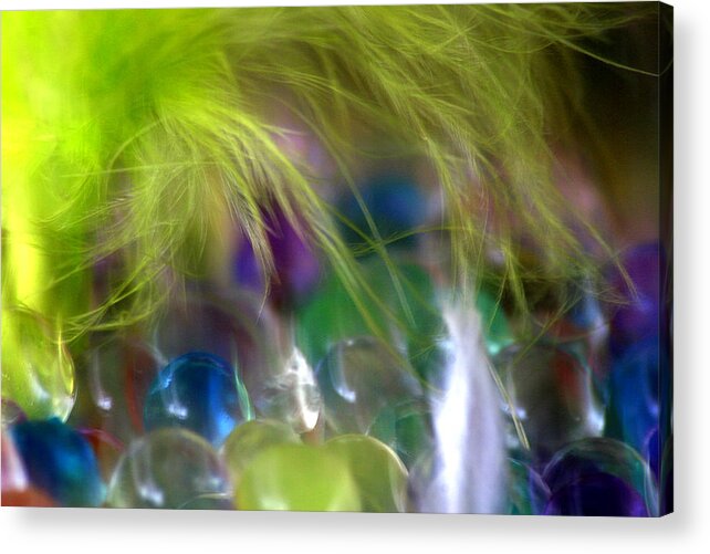 Bubbles Acrylic Print featuring the photograph Feather by Robert Shahbazi