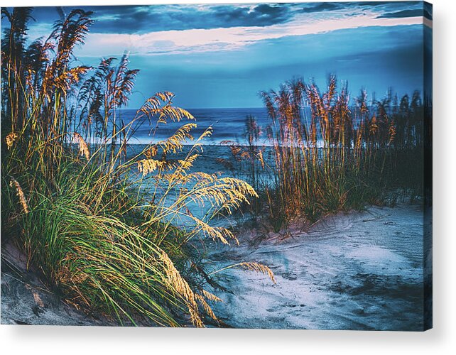 Outer Banks Acrylic Print featuring the photograph Glowing Dunes Before Sunrise on the Outer Banks by Dan Carmichael