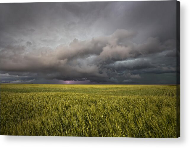 Weather Acrylic Print featuring the photograph Thunderstorm Over Wheat Field by Douglas Berry