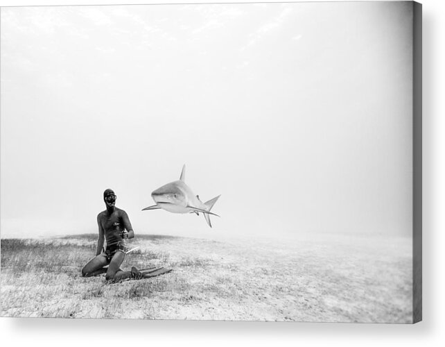 Freediving Acrylic Print featuring the photograph Levitation by One ocean One breath
