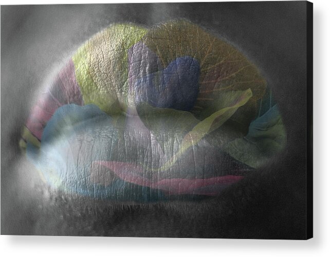 Lips Acrylic Print featuring the photograph Lips by M Kathleen Warren