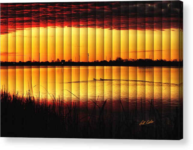 2012 December Acrylic Print featuring the photograph Magnificent Sunrise Swim by Bill Kesler