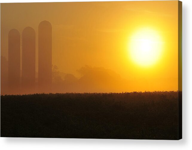Sunrise Acrylic Print featuring the photograph Misty Sunrise by Dan Myers