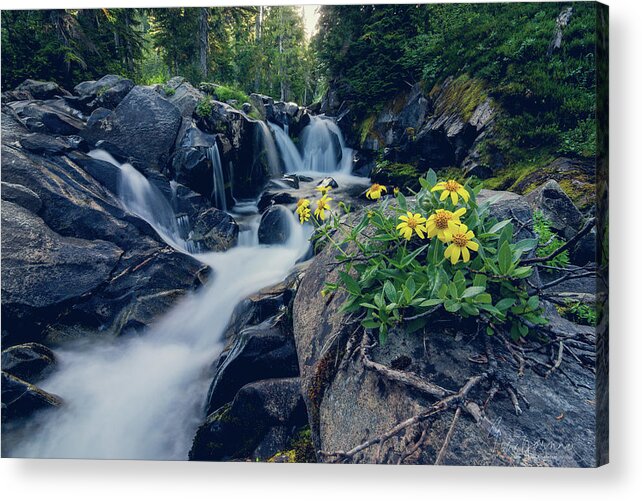 Flower By Stream Acrylic Print featuring the photograph Nature Boutique by Gene Garnace