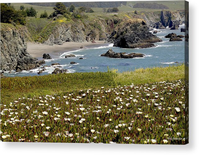 Highway 1 Acrylic Print featuring the photograph Northern California Coast Scene by Mick Anderson