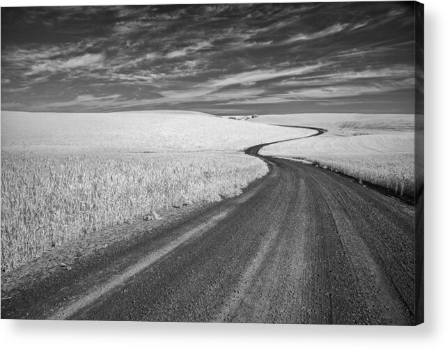 Agriculture Acrylic Print featuring the photograph On the Back Road by Jon Glaser