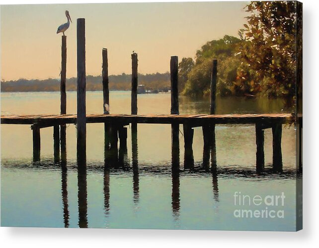Australian White Pelican Acrylic Print featuring the photograph Pelican on post by Sheila Smart Fine Art Photography