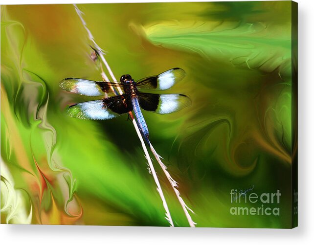 Dragonfly Acrylic Print featuring the painting Perched by Lisa Redfern